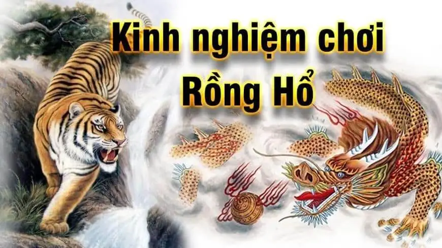 Kinh nghiệm chơi rồng hổ king88 bạn cần nắm